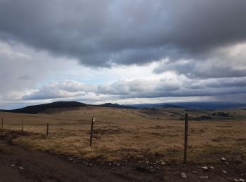 Randonnée Marche Borée - mont Mezenc - Photo