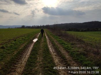 Randonnée Marche Bièvres - Bièvres France - Photo