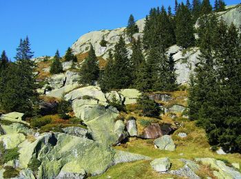 Tocht Te voet Göschenen - Göscheneralpsee Rundwanderung - Photo