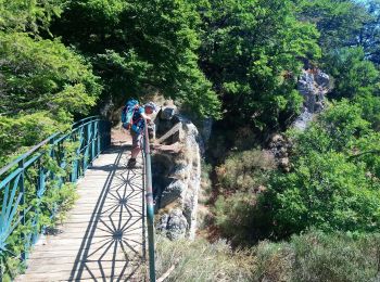 Trail Walking Val-d'Aigoual - vers les cascades d orgon - Photo