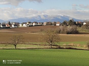 Randonnée Marche Heimsbrunn - Heimsbrunn - Photo