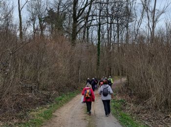 Percorso Marcia Salency - circuit de la Rosières  - Photo