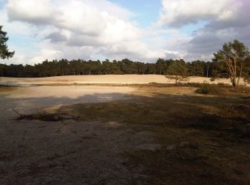 Trail On foot Ommen - Paarse Route - Stuw Junne - Photo