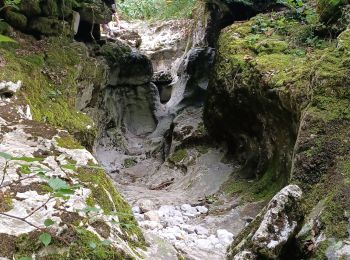 Tocht Stappen Saint-Agnan-en-Vercors - trop Alexis - Photo