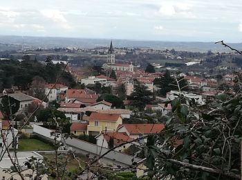 Trail Walking Saint-Genis-Laval - St Génis - Le Garon - Beau Versant - Photo