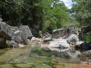 Tocht Te voet  - Prados Caveiros - Ponte do Arado - Photo