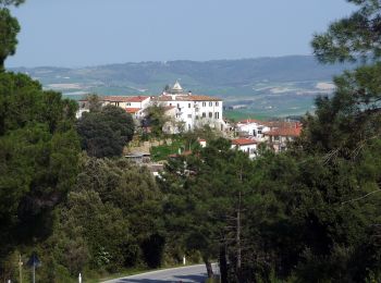 Excursión A pie Collesalvetti - Sentiero del Calvario - Photo