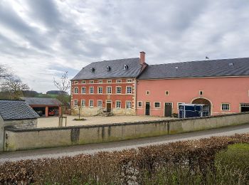 Randonnée A pied Mamer - Dudschleed - Photo