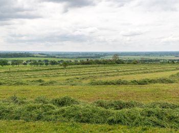 Tocht Te voet Bad Lippspringe - Rundwanderweg A1 [Steinbeke] - Photo