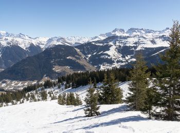 Excursión Raquetas de nieve Beaufort - Sous la légette du Mirantin en boucle - Photo