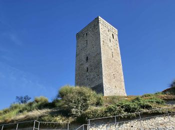 Trail On foot Monastero Bormida - Path of the 5 Towers - Photo