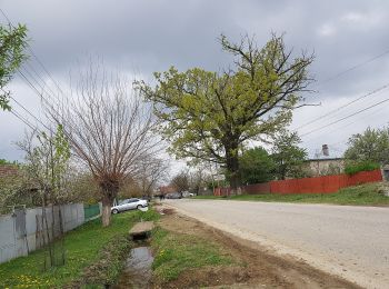 Tocht Te voet Drăgășani - The first OSM winepath in Romania - Photo