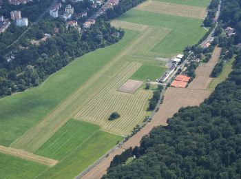 Tour Zu Fuß Bad Kissingen - Wanderweg offener gelber Pfeil - Photo