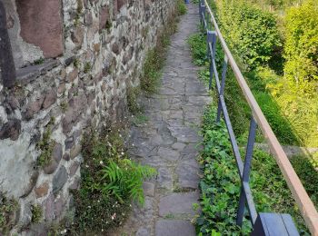 Trail Walking Saint-Jean-Pied-de-Port - saint Jean pied de port  - Photo