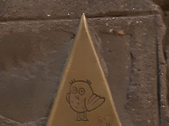Tour Wandern Dijon - dijon, mon petit tour des chouettes - Photo