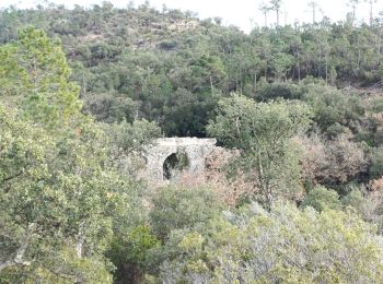 Tour Wandern Fréjus - Lac de L'Avellan - Aqueduc Romain - Anc. Mines de Boson depuis l'Arche Sénéquier - Photo