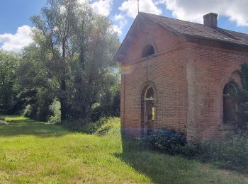 Excursión Senderismo Brinon-sur-Sauldre - Quelques ecluses du canal de la Sauldre - Photo