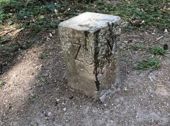 Percorso A piedi Maur - Süessblätz - Wehrmännerdenkmal - Photo