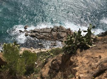 Tocht Stappen Tossa de Mar - Wikiloc - Tossa de Mar - Photo