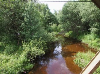 Percorso A piedi Prachatice - Goldsteig Verbindungsweg Černý Kříž - Prachatice - Photo