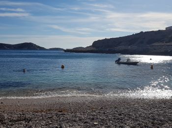 Tour Wandern Marseille - La Calanque de Marseilleveyre - Photo