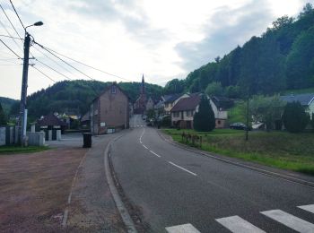 Randonnée A pied Meisenthal - Parcours permanent du Mondfänger - 20 km - Photo