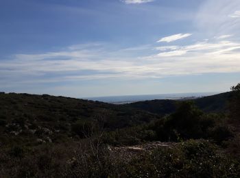 Tour Wandern Gigean - massif de la Gardiole - Photo