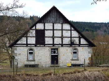 Randonnée A pied Horn-Bad Meinberg - Rundwanderweg A4 [Feldrom] - Photo