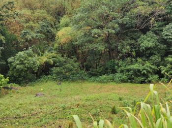 Percorso Marcia Les Anses-d'Arlet - Anse du four vers anse noire par Gallochat. (A) - Photo