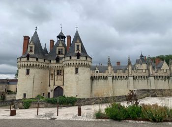 Randonnée Marche Châtellerault - 2024 06 01 Voie de Tours -Châtellerault -Dissay - Photo