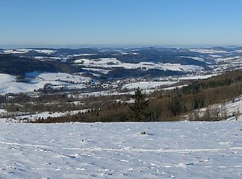 Tour Zu Fuß Ehrenberg - Seiferts Rundwanderweg 11 - Photo