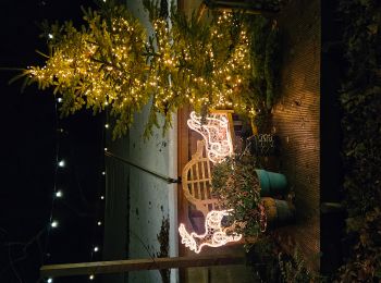 Tocht Stappen Valkenburg aan de Geul - 🎅🎄 Valkenburg - Photo