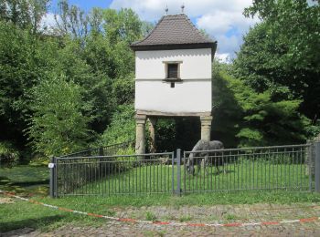 Randonnée A pied Mandelbachtal - Allenberg-Tour - Photo