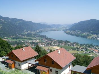 Excursión A pie Steindorf am Ossiacher See - Tschöran-Gerlitzen - Photo