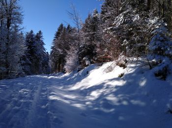 Randonnée Raquettes à neige Cornimont - le Brabant raquettes - Photo