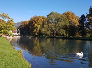 Randonnée Marche nordique Vizille - Brame du cerf au parc de Vizille - Photo