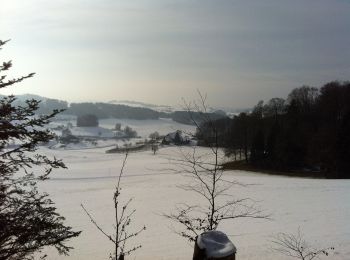 Trail On foot Pfaffnau - Fröschengüllen - Äberdingen - Photo