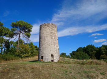 Randonnée Marche Tauxigny-Saint-Bauld - Malabry - Tauxigny chemin des Moulins - 12.4km 160m 3h00 - 2020 09 07 - Photo