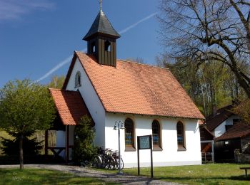 Excursión A pie Weisendorf - Weisendorfer Rundwanderweg 4 - Photo