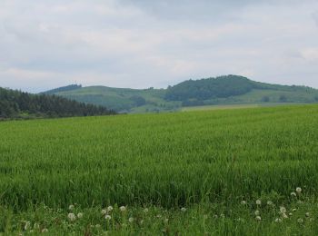 Tour Zu Fuß Poppenhausen - Abtsroda - Rhön-Rundweg 7 - Photo