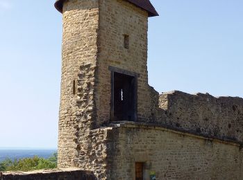 Tour Wandern Cuiseaux - Cuiseaux Circuit du Revermont Martine page 149 - Photo