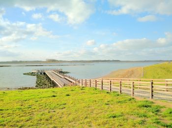 Trail Walking Knokke-Heist - Zwin Cadzand Zwin - Photo
