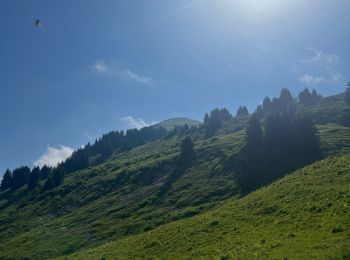 Percorso Marcia Samoëns - La tête de Bostan - Photo