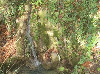 Tocht Stappen Bargemon - Tour autour de Bargemon par le bas - Photo