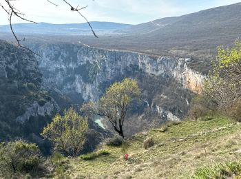Tour Wandern La Palud-sur-Verdon - Sentier Blanc Martel - Photo