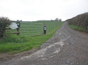 Percorso A piedi Somerset West and Taunton - Taunton Deane Circular Walk 1 - Photo