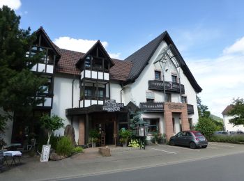 Randonnée A pied Hauenstein - Hauensteiner Nr. 4 - Photo