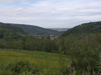 Randonnée Marche Beure - crête Pugey - Photo