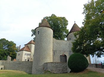 Tocht Stappen Les Trois-Châteaux - l aubepin  - Photo