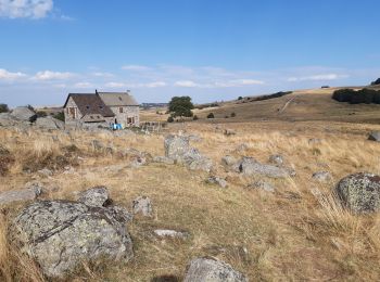 Randonnée Marche Saint-Chély-d'Aubrac - GR670 je Les Rajat - Photo